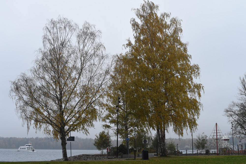 Höstvy. Foto: Marion Sidwall